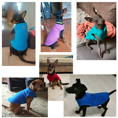 Cozy Winter Fleece For Your Dog wear